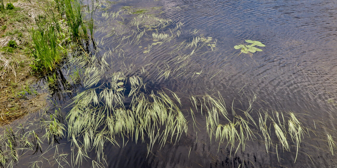 Tribal nations want more control over their food supply