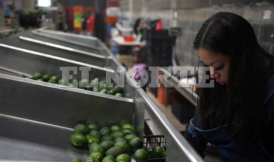 Llama México a EU a consultas por caso Fresh Foods