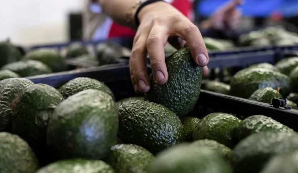 Llama México a EU a consultas por caso Fresh Foods