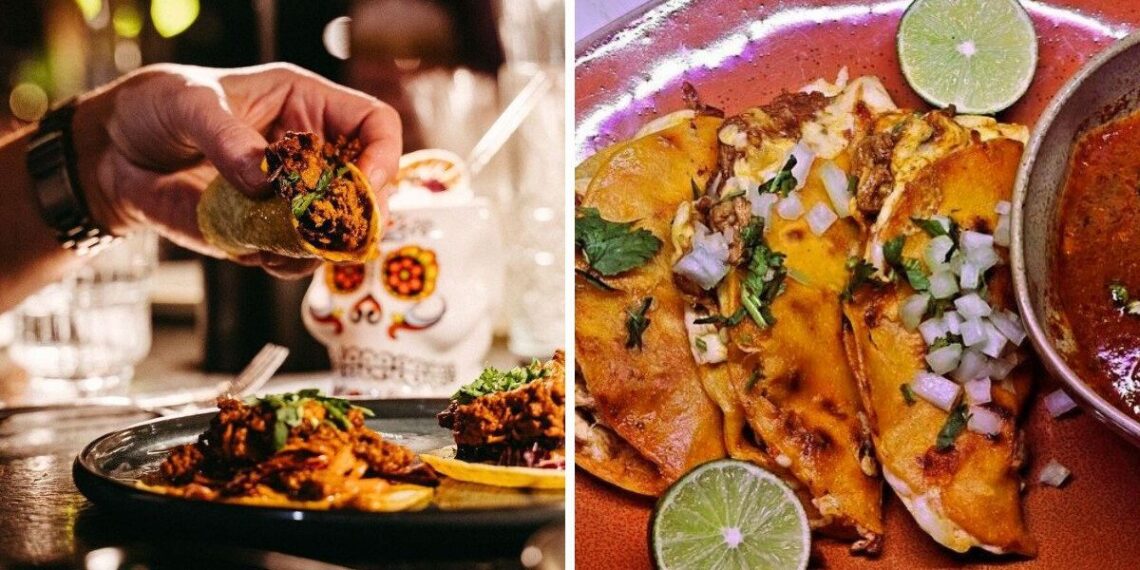 16 restaurants with the best tacos Montreal has to offer, according to Google data