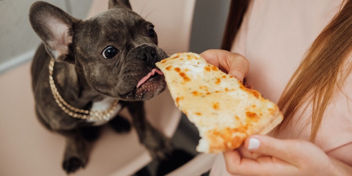 The Surprising Foods Making Your Dog Overweight — Best Life