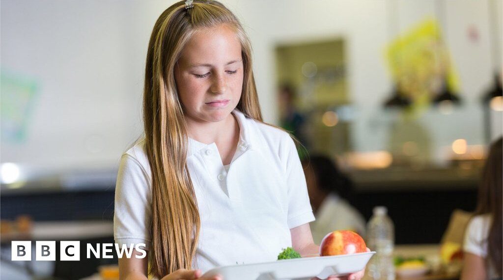 Free School Meals: Pupils prefer processed food, says council