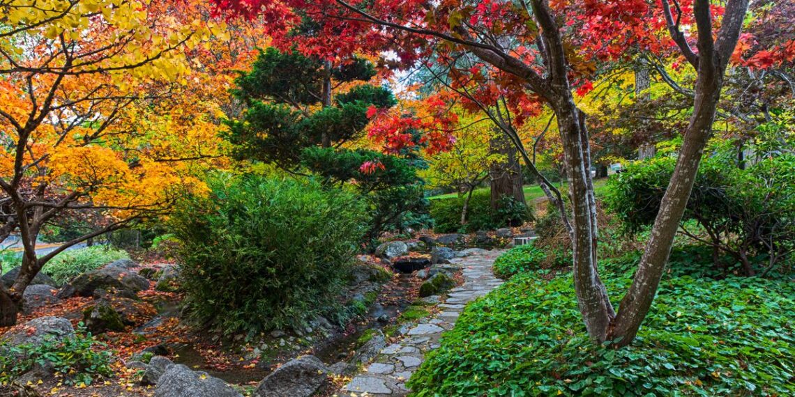 The 17 Best Restaurants in Ashland, Oregon