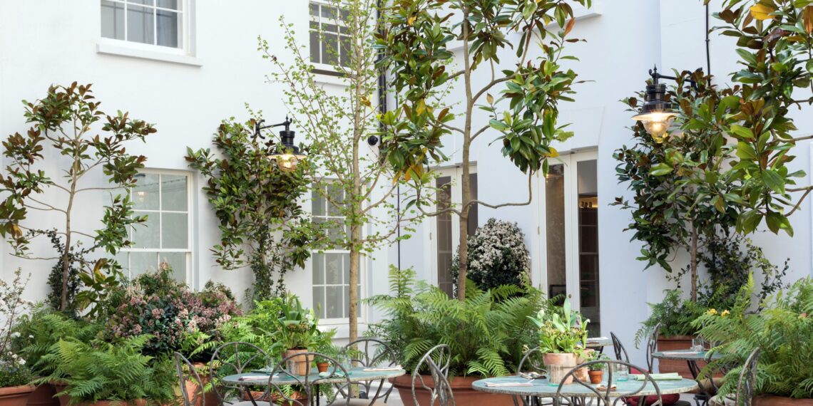 Best outdoor restaurants in London 2024
