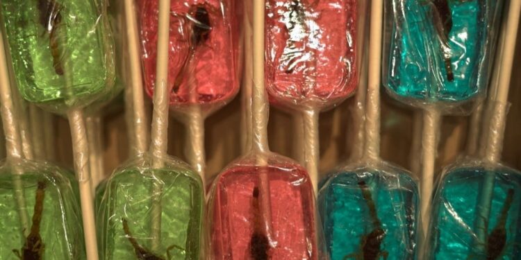Most Iconic And Weirdest Foods In Each State; Where Theyre The Same
