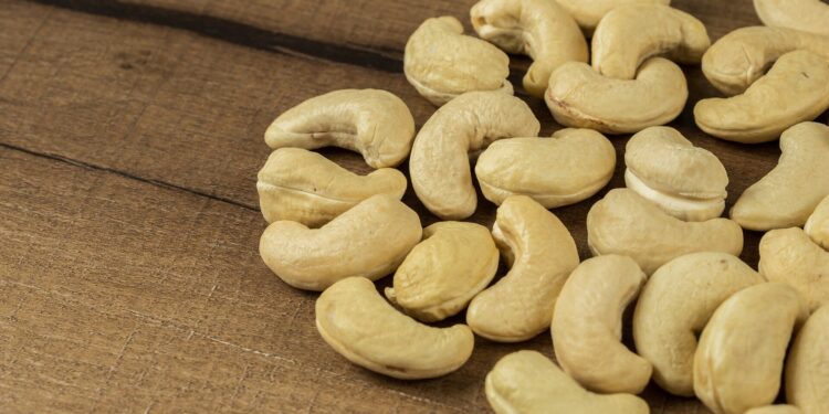 Homemade nut-based dairy analogs raise questions about bacterial risks