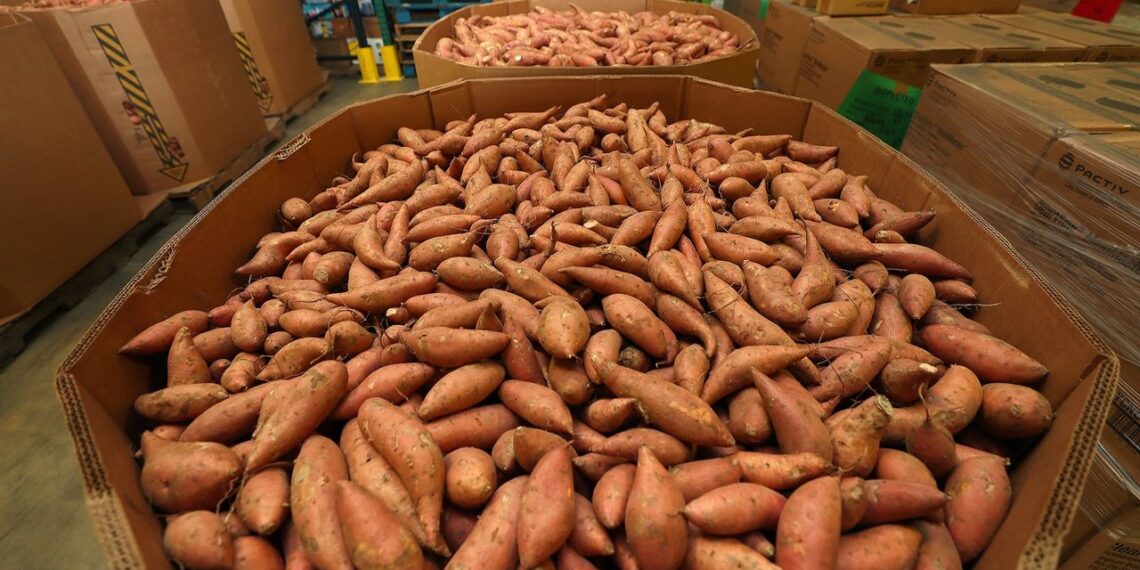 Demand is increasing to feed food-insecure people in Northeast Florida. l Feeding Northeast Florida