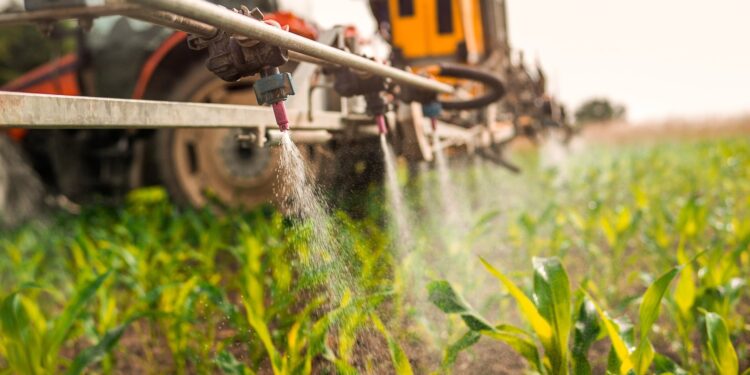 Low risk to health from pesticide exposure in food