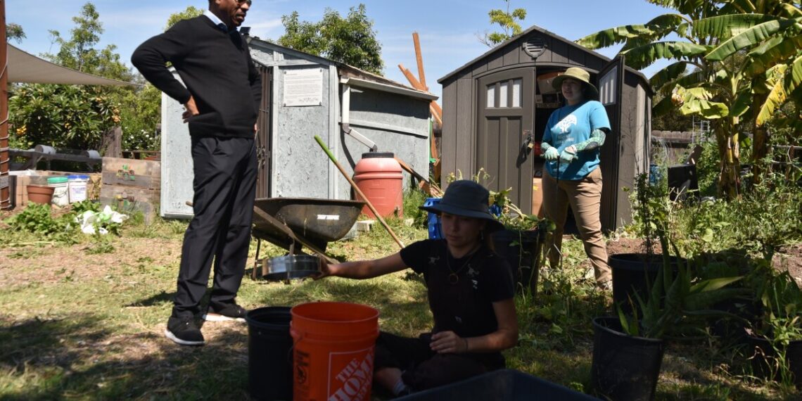 NOURISH reimagines the food business to try to prevent food deserts