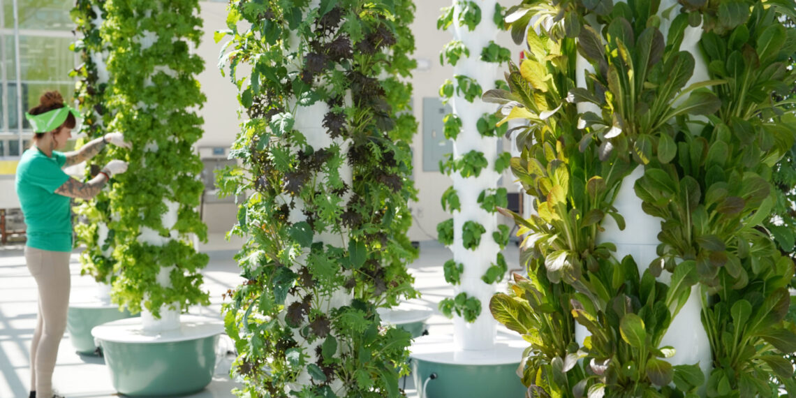 No More Empty Pots Opens Micro Market as an Oasis in North Omaha Food Desert