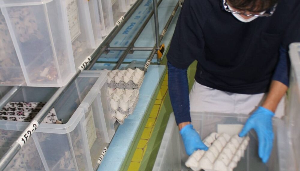 Next-gen protein sources explored as meat replacements in Tohoku