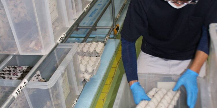 Next-gen protein sources explored as meat replacements in Tohoku