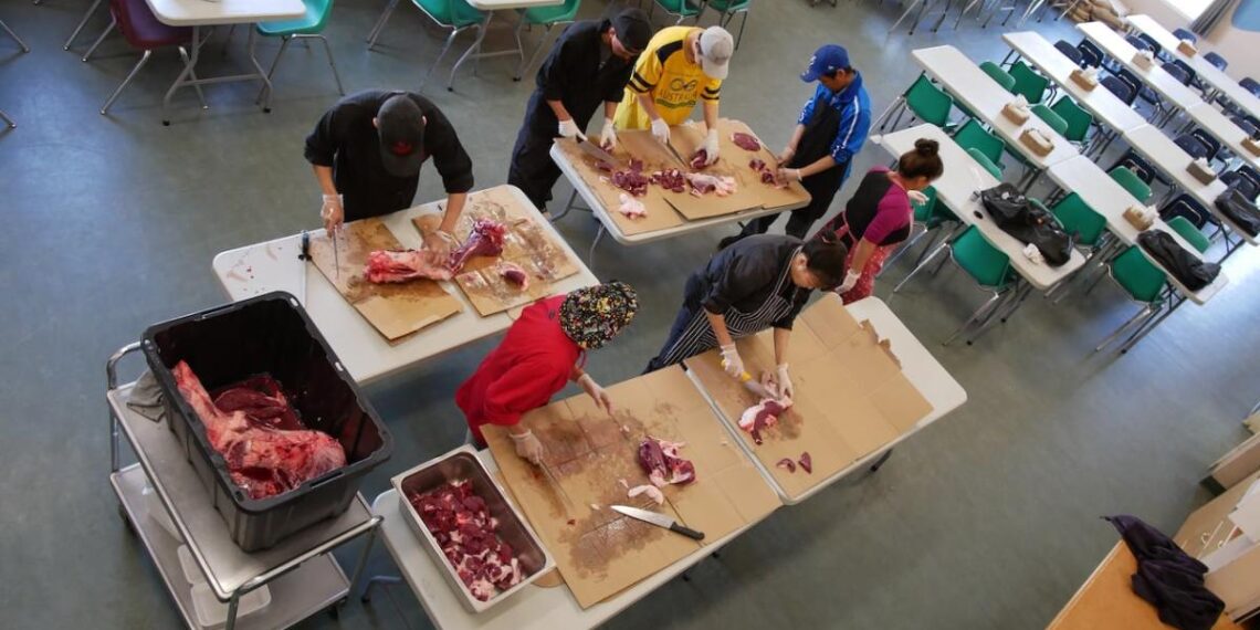 Nunavut organization calls for more country food and more money to support school food program