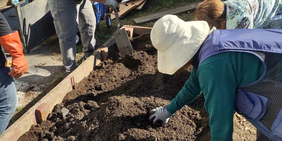 Homeless people cultivate food, better health