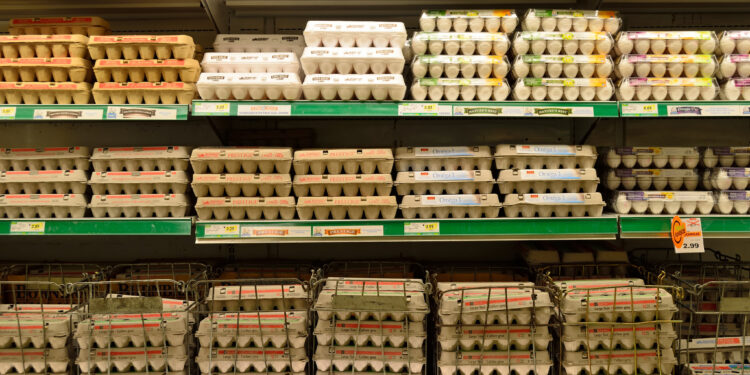 City seeks input on area food plan that highlights fragility for farms, restaurants