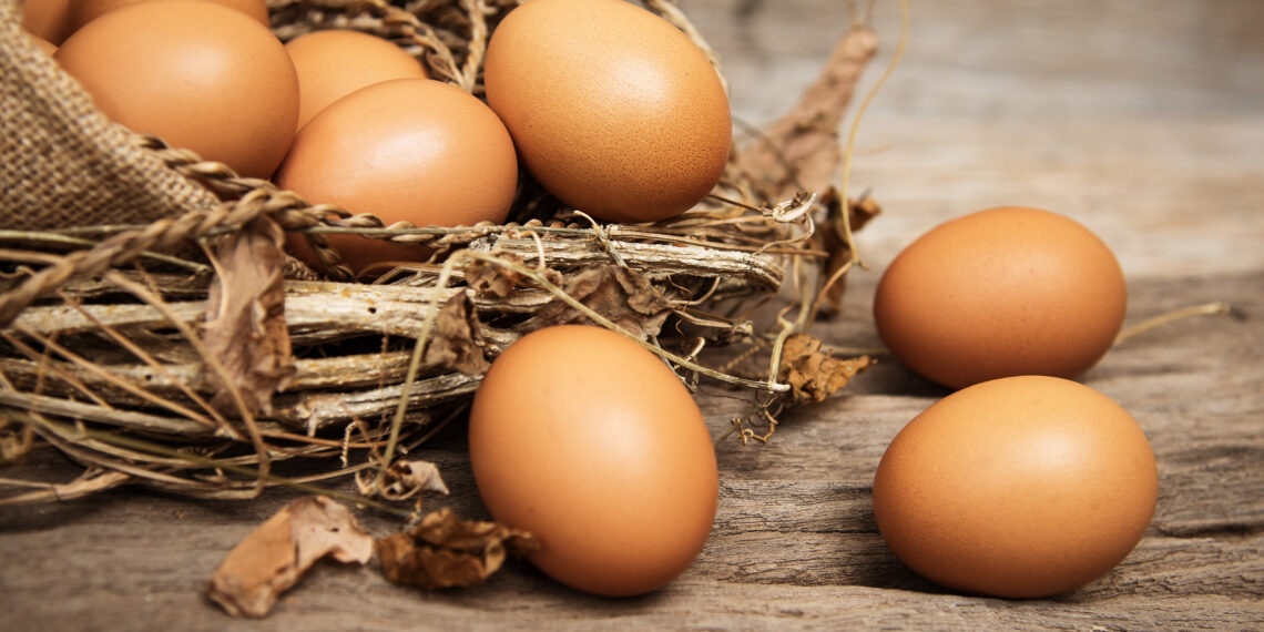 Why Cal-Maine Foods Stock Popped Today
