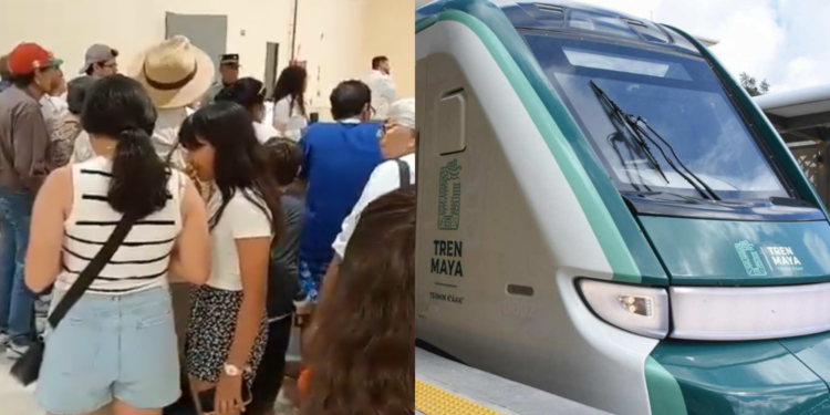 Fallas del Tren Maya afectan a operadores turísticos; sin protocolo de atención