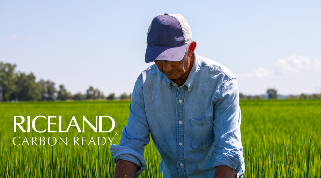 Riceland Foods’ sustainable rice program pays farmers millions for sustainably grown rice