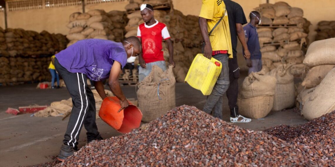 Global Food Roundup: Inflation at the Grocery Store