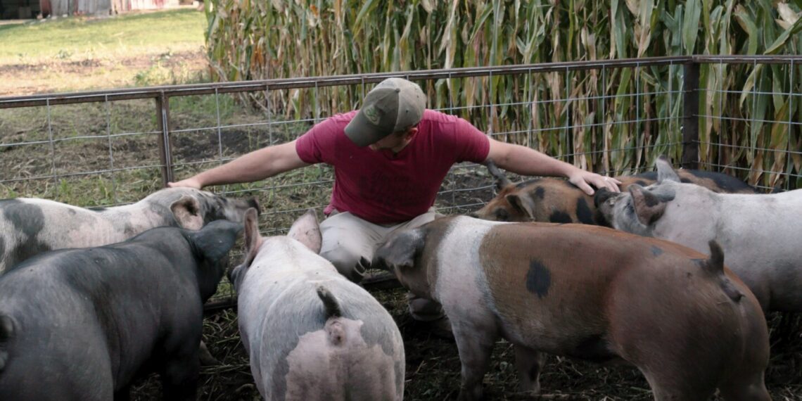 Movie Review: ‘Food, Inc. 2’ revisits food system, sees reason for frustration and a little hope