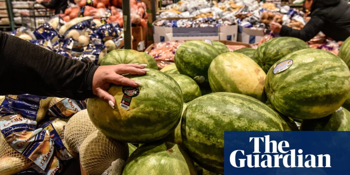 Kale, watermelon and even some organic foods pose high pesticide risk, analysis finds | Pesticides
