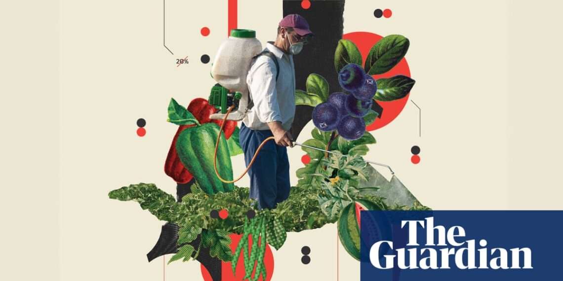 Blueberries and bell peppers: six fruits and vegetables with the most pesticide risk | Pesticides