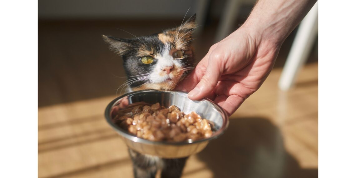 Wilbur-Ellis Nutrition & Bond Pet Foods Partner on Ingredient Fermentation