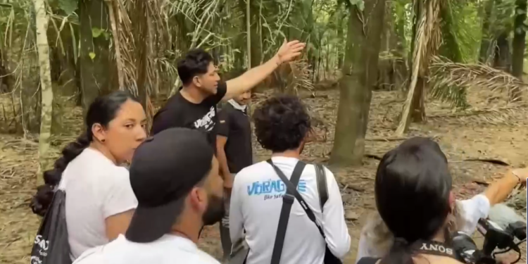 El 44% de los españoles no contrata un seguro de viajes con cobertura completa