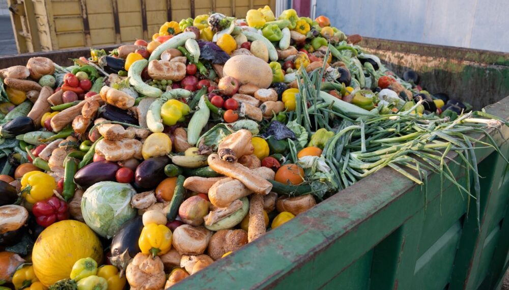 A new study finds 'real food waste reductions at scale'