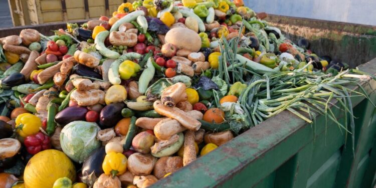 A new study finds 'real food waste reductions at scale'