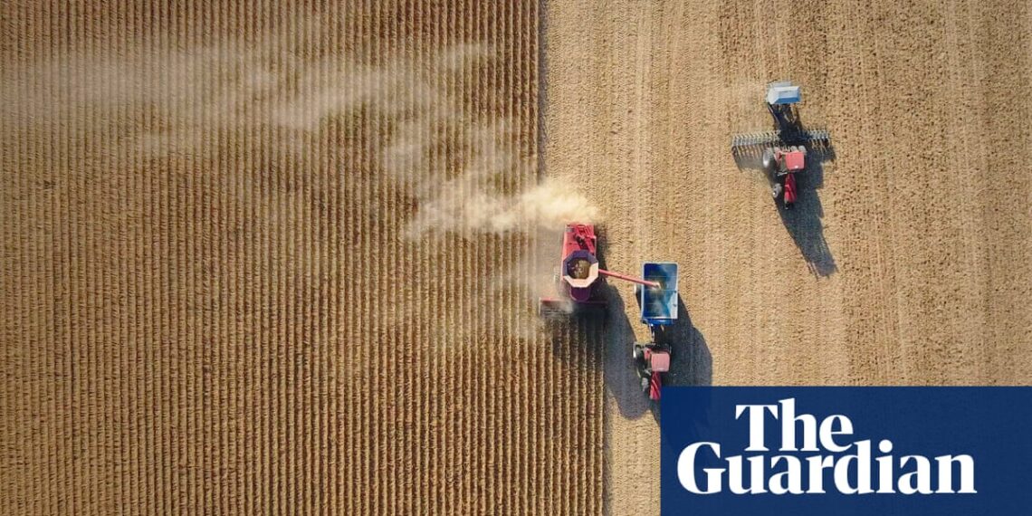 ‘A system perverted by corporate money’: inside documentary sequel Food, Inc 2 | Documentary films