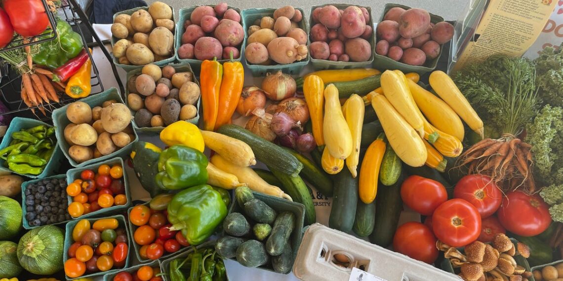 How to connect local food with communities in Wilmington, NC