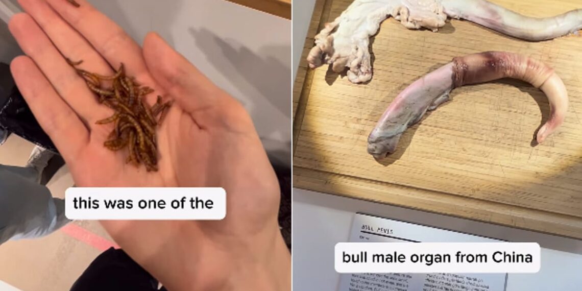 Watch: Can You Eat These Repulsive Foods From The Disgusting Food Museum In Sweden?