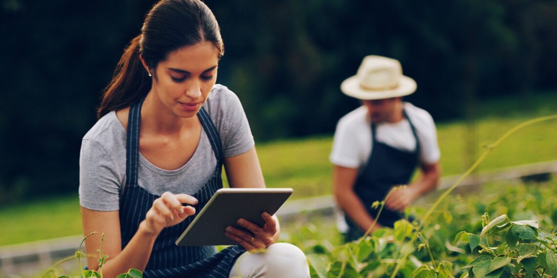 Can tech help ensure food security?