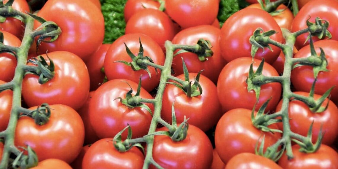 10 Summer Foods For Better Lung Health