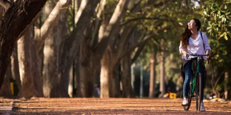 6 planazos para descansar sin pensar en nada