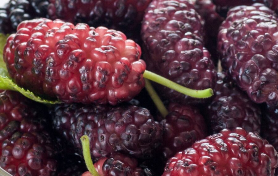 ​10 summer foods that are great for your fertility