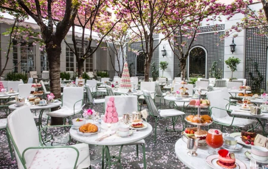 NYC's 43 Best Outdoor Dining Spots