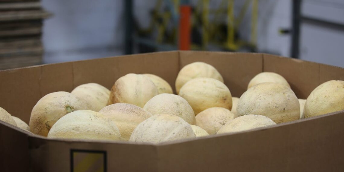 Is cantaloupe good for you? Health benefits, vitamins explained