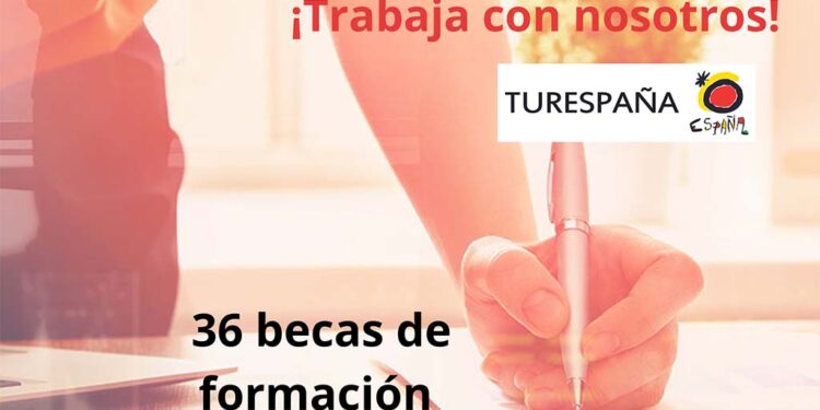 Se han convocado 36 subvenciones de doce meses remuneradas de las cuales 32 son en el extranjero.