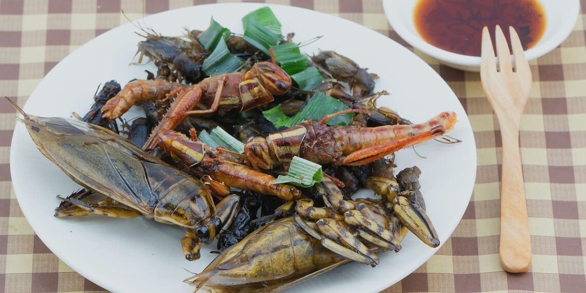 Calls for flour made from insects to be used in processed foods