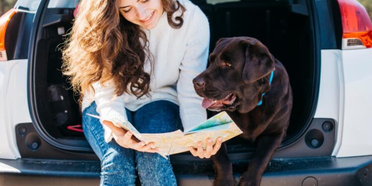 Cinco planes ideales para viajar con tu perro