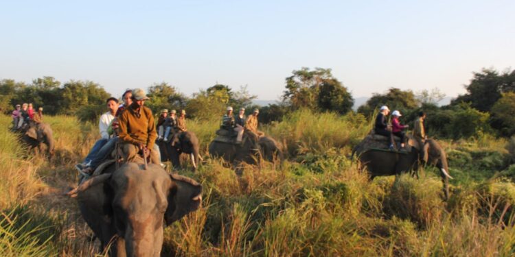 Los mejores lugares para visitar en verano en la India: descubra los hermosos lugares para crear nuevos recuerdos en la temporada de verano