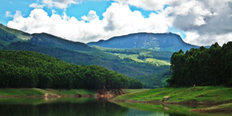 Los mejores lugares para visitar en mayo en India: desde las brumosas colinas de Munnar hasta el frío desierto de Ladakh, 5 lugares para ir de vacaciones de verano