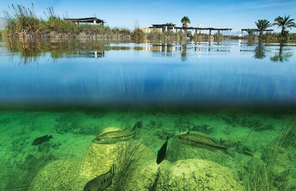 Los cinco mejores destinos naturales que debes conocer en Coahuila