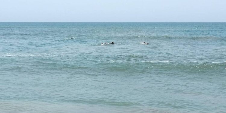 Rescatan a dos menores del mar tripulantes de crucero turístico