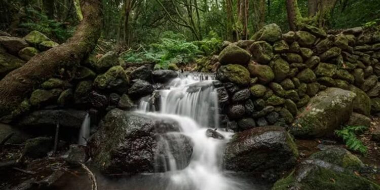 El paraíso tropical en Canarias que nada tiene que envidiar a viajes de moda como Costa Rica