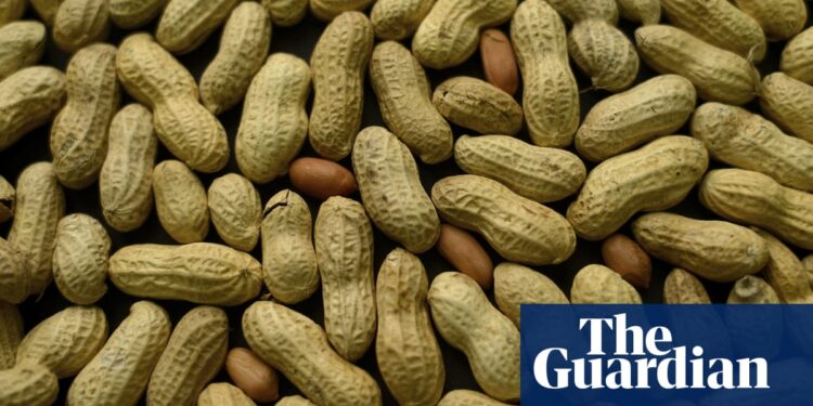 One in 20 people in UK has a confirmed food allergy, study finds | Allergies
