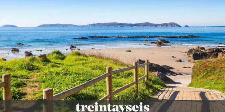 Viajes exclusivos a Ons para degustar cuatro recetas de pulpo: Las claves para conseguirlos