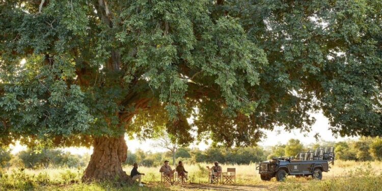 Londolozi, así es uno de los campamentos más antiguos de Sudáfrica